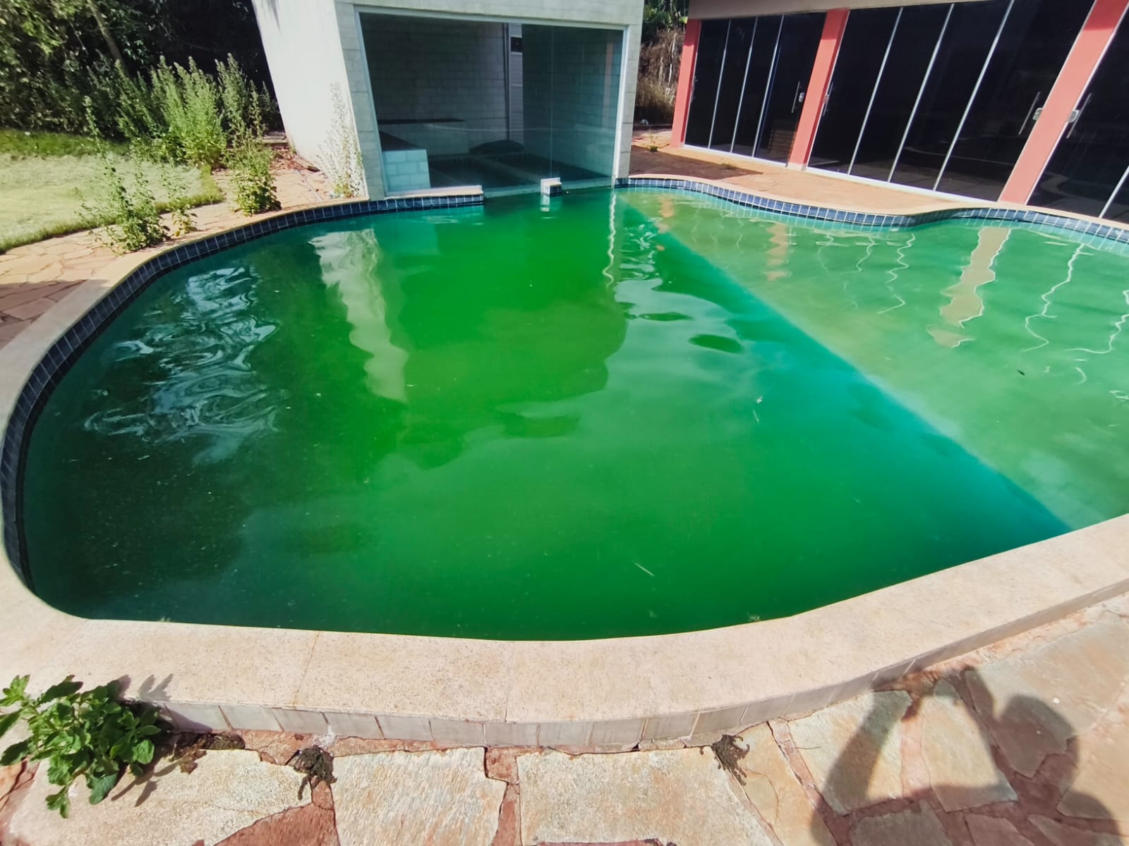 Piscina com água verde antes da limpeza