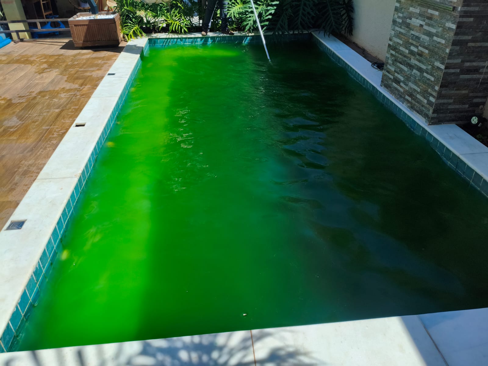 Piscina com algas e água turva antes do tratamento