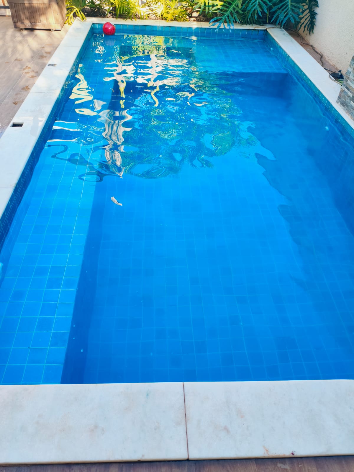 Piscina limpa e tratada após o serviço